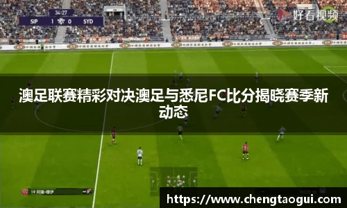 熊猫体育网址