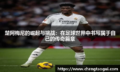熊猫体育网址