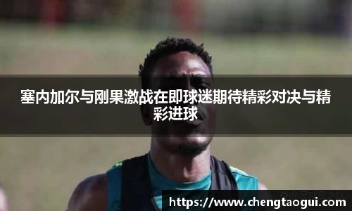 熊猫体育
